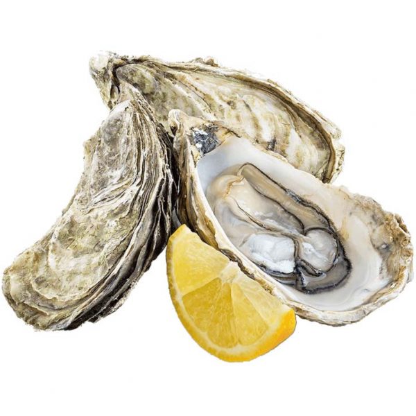 Oyster x12 <br> 生蠔 x12