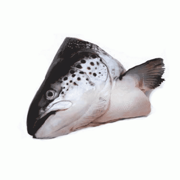 Salmon Head 1 piece <br> 三文魚頭 1個
