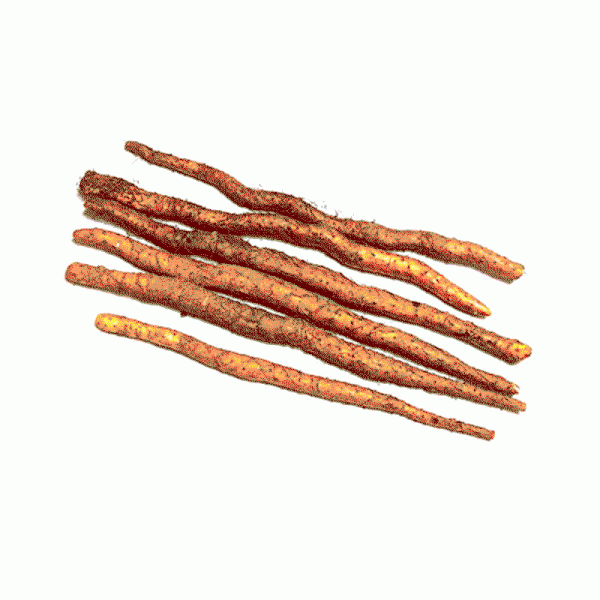 Chinese Iron Bar Yam 500g  鐵棍山藥 500g