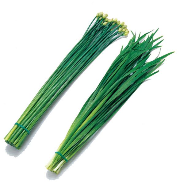 Thai Chives x1 pack <br> 泰國寬葉韭菜 1盒