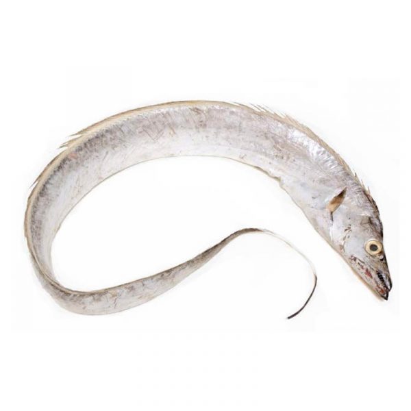 Frozen Ribbon Fish 1kg <br> 冰凍帶魚 1kg