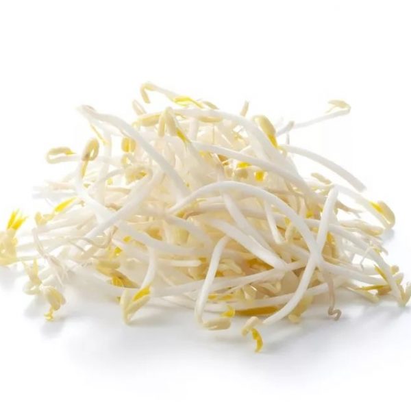 Green Bean Sprouts 500g <br> 綠豆芽500g