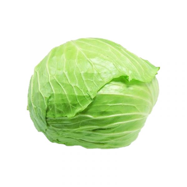 Flat Cabbage<br> 捲心菜
