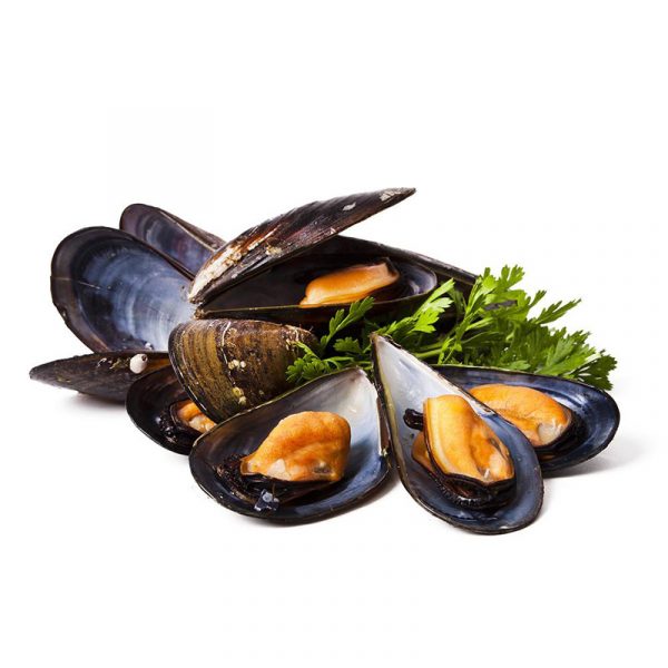 Fresh Mussels 1kg <br> 新鮮青口 1kg